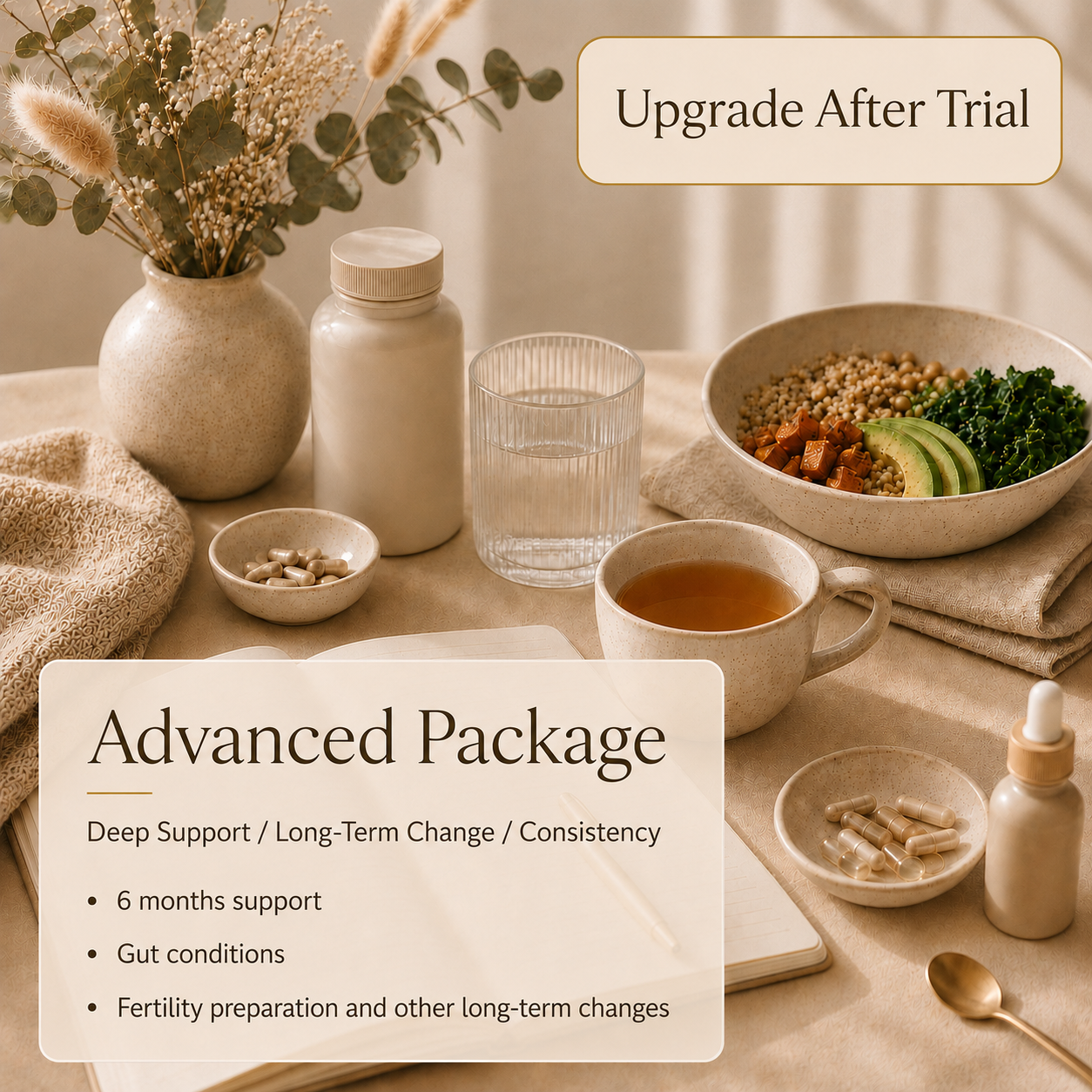 Advanced Package - 6 Months Support (Upgrade After Trial)