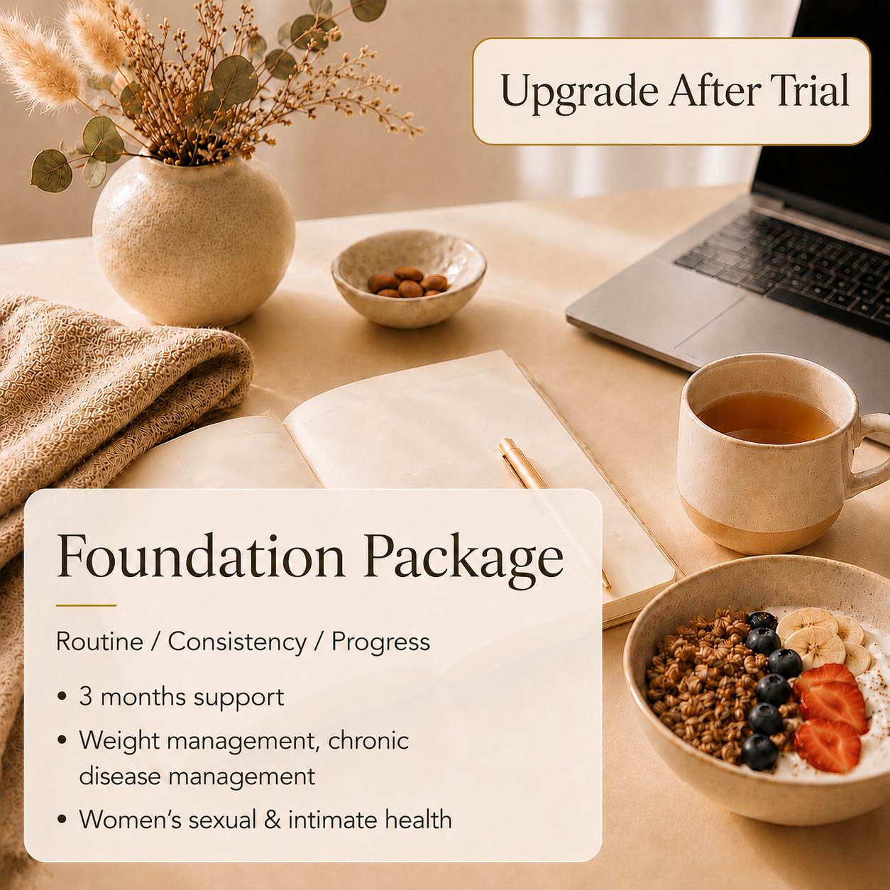Foundation Package - 3 Months Support (Upgrade After Trial)